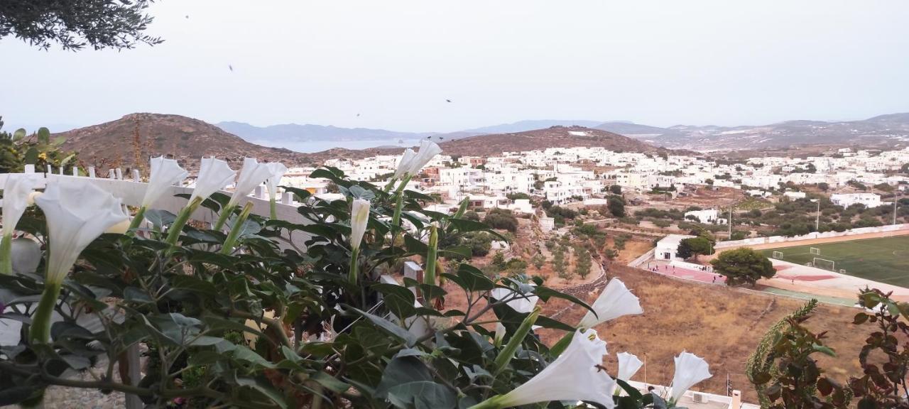 فندق Prickly Pear House Plaka  المظهر الخارجي الصورة
